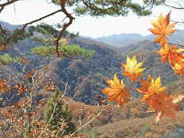 青島紅日搬家：居民搬家首選，辦公室搬遷專家，服務優(yōu)質(zhì)收費合理